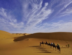 撒哈拉沙漠- (23)