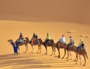 撒哈拉沙漠- (1)
