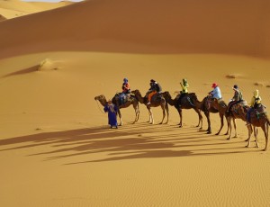 撒哈拉沙漠- (24)